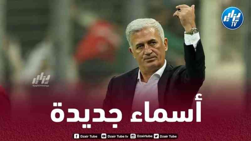 أسماء جديدة مرشحة لتدعيم صفوف الخضر خلال شهر سبتمبر