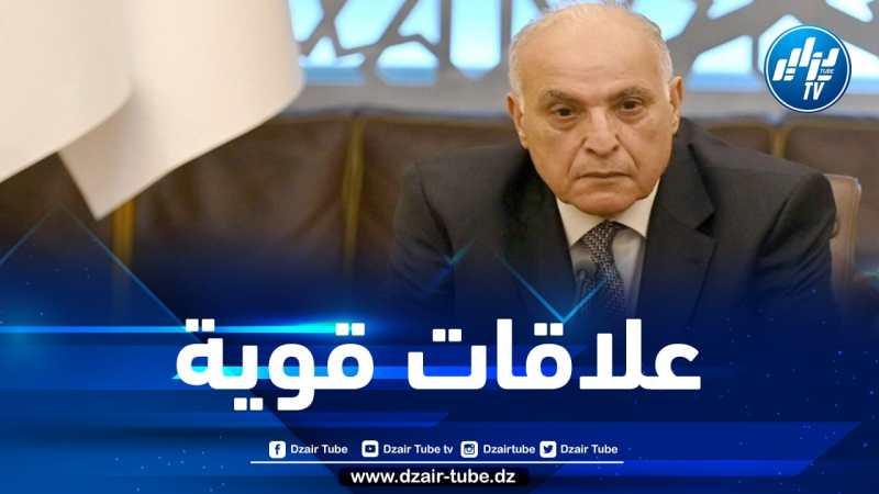 وزير الخارجية يتلقى اتصالا هاتفيا من نظيره المصري…وهذا أهم ما دار بينهما