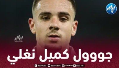 بالفيديو…هدف نغلي في مرمى فالفيك