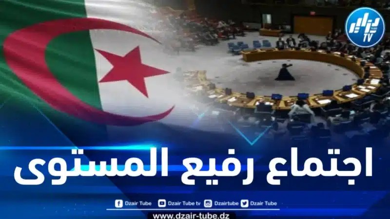 بطلب من الجزائر .. مجلس الأمن يعقد اجتماعاً رفيع المستوى حول القضية الفلسطينية