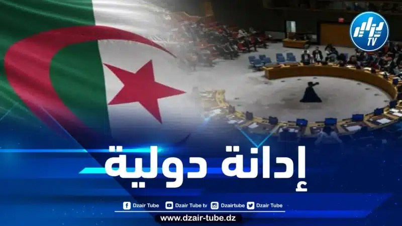 بناء على طلب الجزائر… مجلس الأمن يناقش استهداف عمال الأونروا بغزة