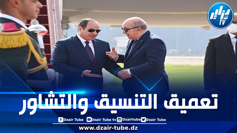 خلال زيارته إلى مصر.. الرئيس تبون يؤكّد على مساعي الجزائر لإيصال المساعدات إلى سكان قطاع غزة