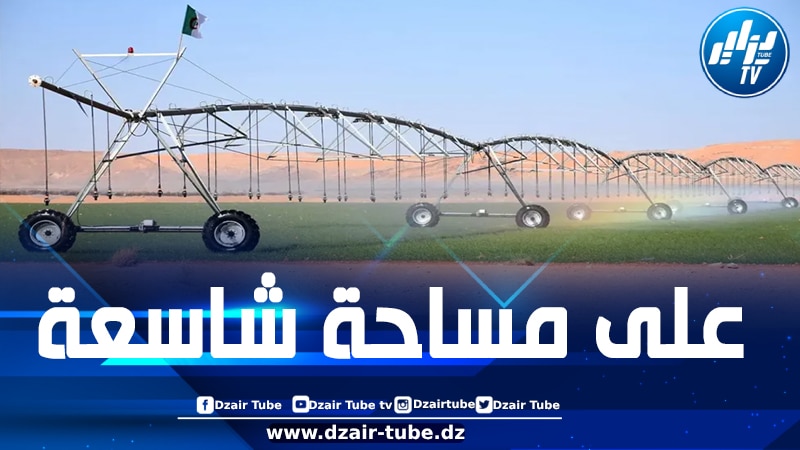 قطب فلاحي جديد بشراكة جزائرية-سعودية في ولاية المنيعة