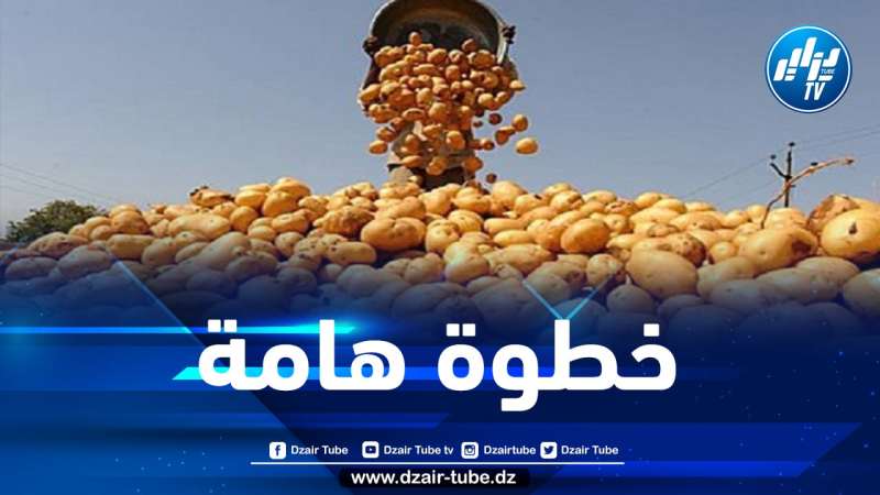 الشروع في تفريغ كميات معتبرة من البطاطا المخزنة لضبط السوق