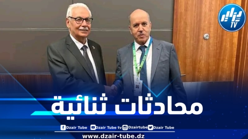 وزير الصحة يلتقي نظيره الفلسطيني