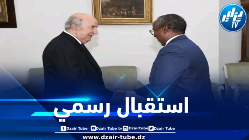 رئيس الجمهورية يستقبل المبعوث الخاص لرئيس الصومال
