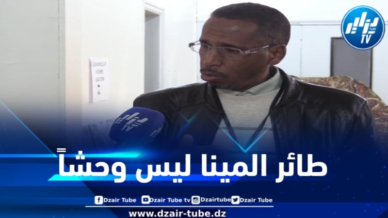 العلمي لدزاير توب: طائر “المينا” ليس وحشاً وليس بتلك الخطورة التي تستدعي قتله بمجرد رؤيته