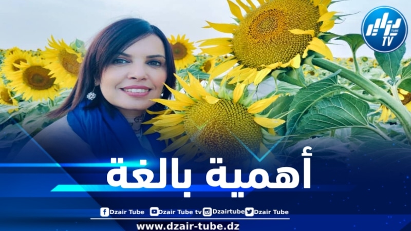 الخبيرة جعفري: دوار الشمس من الزراعات الزيتية التي تعول عليها الدولة لتقليص فاتورة استيراد الزيوت