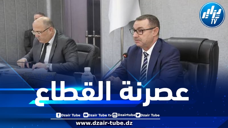 سعيود يشدد على ضرورة النهوض بقطاع النقل