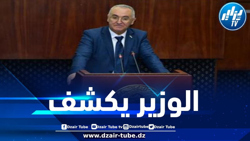 وزير المالية: رفع التجميد عن 982 استثمارا منذ 2014