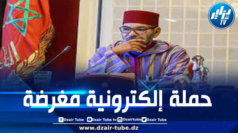 يسعى من ورائها إلى ربط أمن الجزائر واستقرارها بالأحداث الجارية في سوريا..المخزن يشنّ حملة مغرضة ضدّ الجزائر منذ سقوط نظام الأسد 