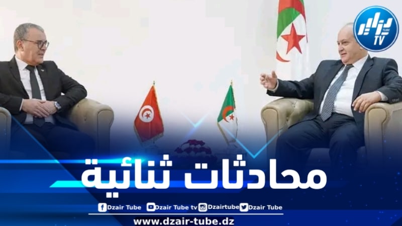 وزير الصناعة يستقبل وزير الاقتصاد والتخطيط التونسي