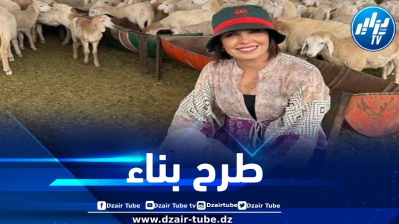 هذا ما قالته الخبيرة جعفري عن تأسيس لجنة وطنية متخصصة في انتعاش إنتاج اللحوم الحمراء