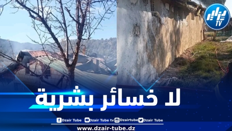 نفوق 2000 صوص في حريق مستودع بالمدية