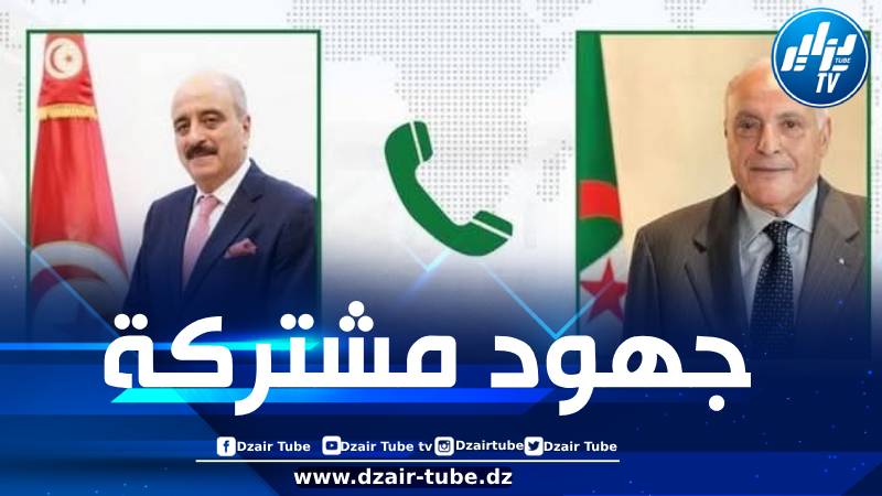 وزير الخارجية يجري مكالمة هاتفية مع نظيره التونسي