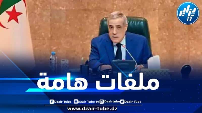تمديد عطلة الأمومة وملفات هامة على طاولة الحكومة