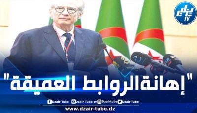 الوزير الأول الفرنسي السابق دومينيك دو فيلبان ينتقد بشدة تسيير الحكومة الفرنسية للعلاقات الدبلوماسية مع الجزائر