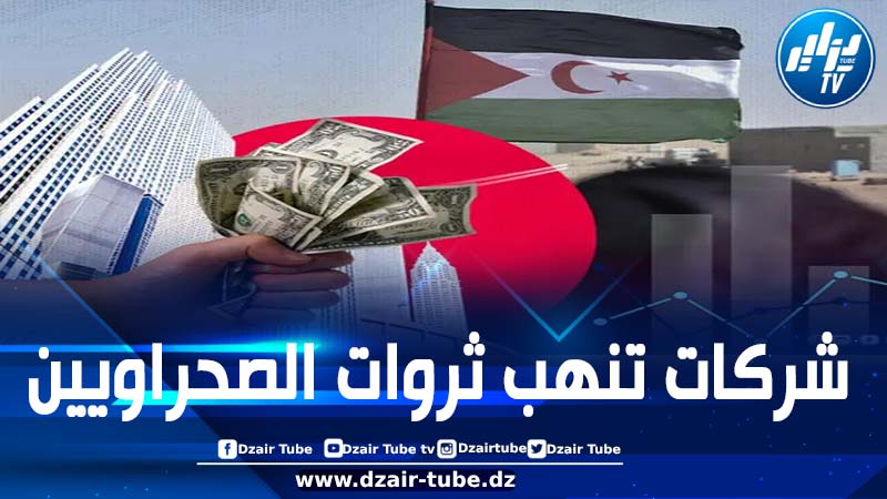 مصادر لـ “دزاير توب”: مخاطر جمّة وتبعات ثقيلة تنتظر الشركات الأجنبية التي تتجرأ على إقامة مشاريع واستثمارات على الأراضي الصحراوية المحتلة