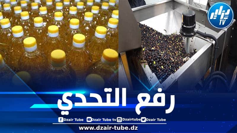 مركب سحق البذور الزيتية “كتامة أقريفود” بجيجل يدخل مرحلة الإنتاج قريبا