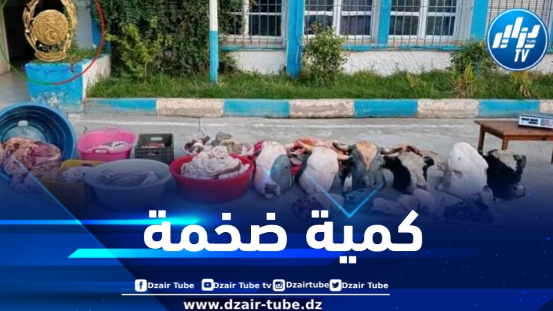 حجز قرابة 05 قناطير من اللحوم الحمراء غير الصالحة للاستهلاك البشري بعين الدفلى