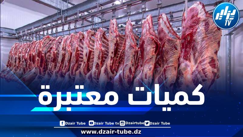 استيراد كميات معتبرة من اللحوم الحمراء والبيضاء خلال شهر رمضان