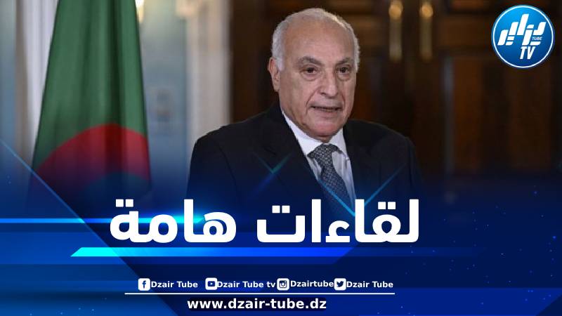 وزير الخارجية يجري لقاءات مع عدد من نظرائه بنيويورك