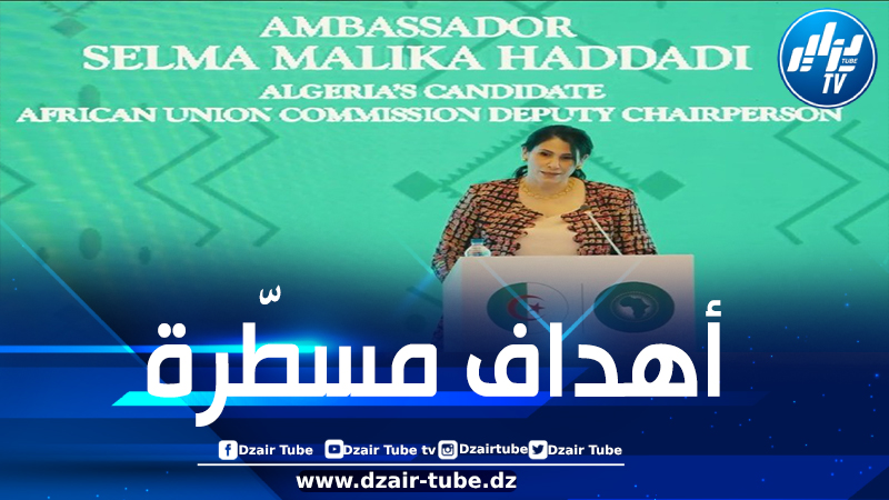 بعد انتخابها نائبة لرئيس المفوضية سلمى مليكة الحدادي تؤدي اليمين وتتعهد بتعزيز النفوذ العالمي للاتحاد الإفريقي