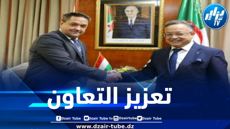 بداري يبحث مع سفير المجر سبل التعاون والتبادل في مجال التعليم العالي