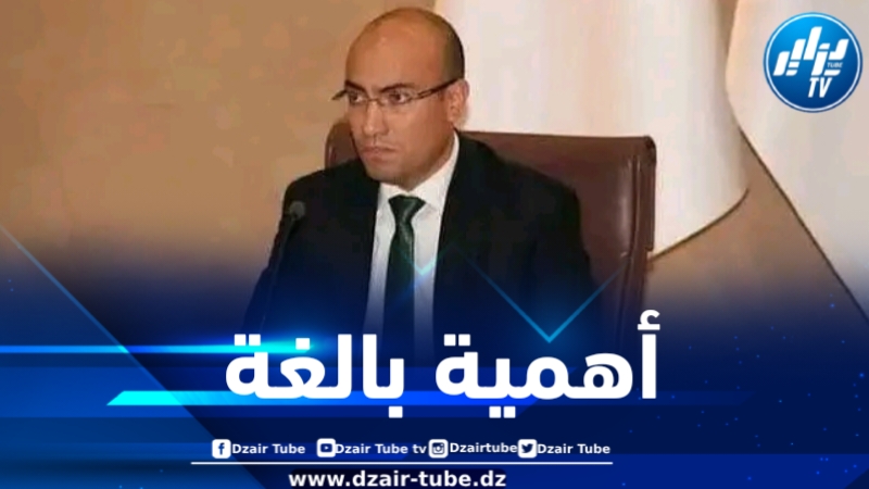 سفيان شايب يبرز الأهمية التي يوليها الرئيس تبون لتشجيع الجالية الوطنية على اغتنام الفرص الاستثمارية المتاحة في الجزائر