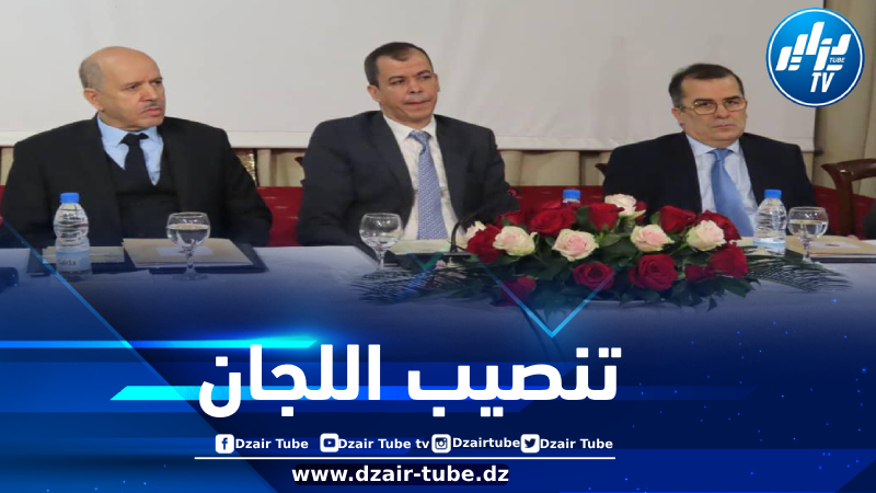 تحضيرا للجلسات الوطنية للوقاية ومكافحة السرطان… تنصيب اللجان الفرعية الموضوعاتية