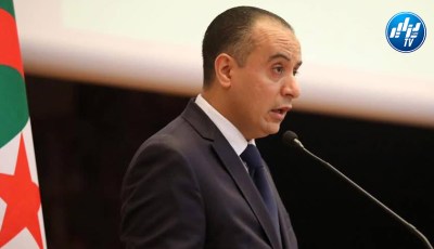 وليد صادي : هدف بيتكوفيتش هو قيادة الجزائر الى المونديال و سنتحدث معه حول الأهداف و برنامج التحضيرات للكان