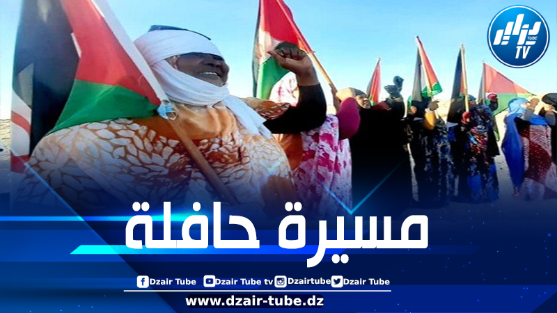 في يومهنّ العالمي.. قصة كفاح و صمود النساء الصحراويات في وجه الاحتلال المغربي