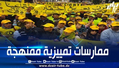 المخزن غارق في الفساد ومؤسساته تُدار بمنطق يخدم فئة محدودة على حساب الصالح العام