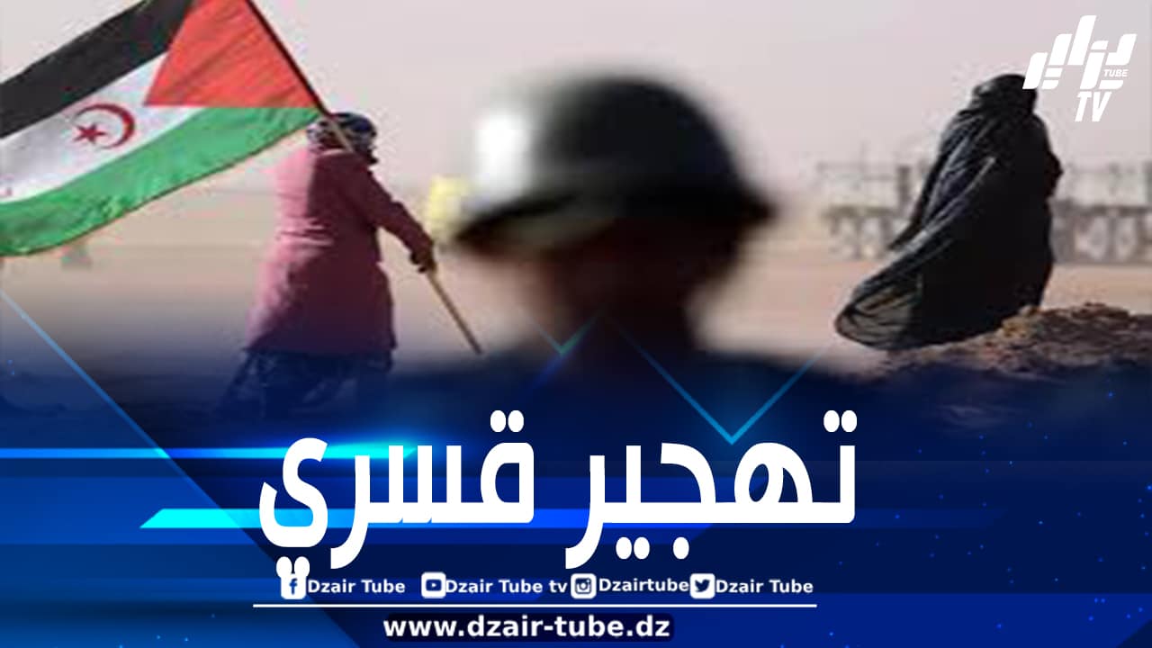 الاحتلال المغربي مستمر بسبب أطماعه في نهب الموارد الطبيعية للصحراء الغربية