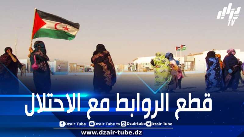 نواب في البرلمان الأوروبي يضعون في القائمة السوداء مكتب أعمال دنماركي استعان به المخزن للترويج لثروات الصحراء الغربية المحتلة