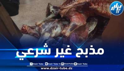 توقيف شخصين يستغلان بناية كمذبح غير شرعي وحجز 464 كيلوغرام من اللحوم الحمراء