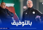 بوعلي : “بيتكوفيتش في الطريق الصحيح، ونتمنى له النجاح وقيادة الجزائر إلى كأس العالم”