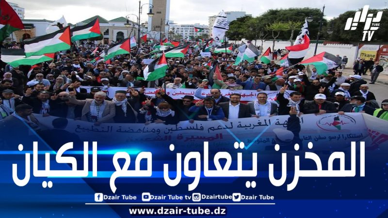 مسيرات احتجاجية بالدار البيضاء وطنجة رفضا لاستقبال سفن “مايرسك” وتجديدا لمطلب إسقاط التطبيع