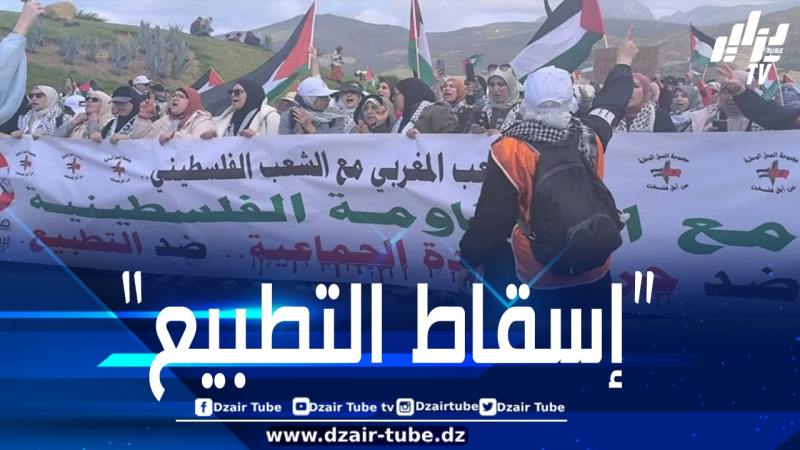 مسيرة نحو ميناء طنجة رفضا لرسو سفينة يشتبه بأنها “تنقل قطع غيار طائرات حربية” إلى الكيان الصهيوني