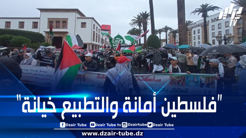 آلاف المغاربة يهتفون بإسقاط التطبيع ويستنكرون إبادة غزة في مسيرة وطنية بالرباط
