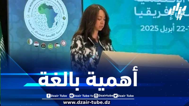 منصوري تبرز خطورة المعلومات المضللة كأداة في الحروب المعلوماتية والمعرفية التي تستهدف استقرار الدول