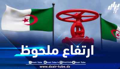 ارتفاع صادرات الغاز الجزائري إلى الاتحاد الأوروبي بنسبة 13% في مارس 2025