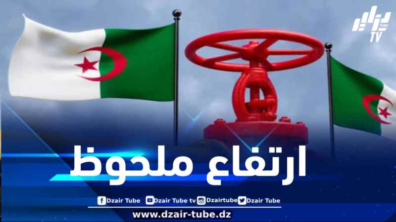 ارتفاع صادرات الغاز الجزائري إلى الاتحاد الأوروبي بنسبة 13% في مارس 2025