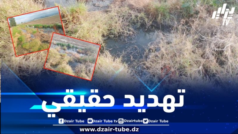 تيبازة: المياه القذرة تهدد سهل متيجة والمواطنين بأحمر العين … ومطالب بالتدخل  العاجل لوزيرة البيئة