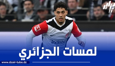 بالــــــــفيديو…ملخص ما قدمه شايبي ضد هايدنهايم