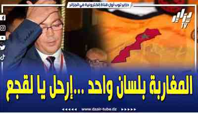 فيديو دزاير توب: فيديوغرافيك ساخر .. حكومة لقجع وبوريطة تدخل في ورطى وفضيحة بسبب نهاية قصة الخريطة