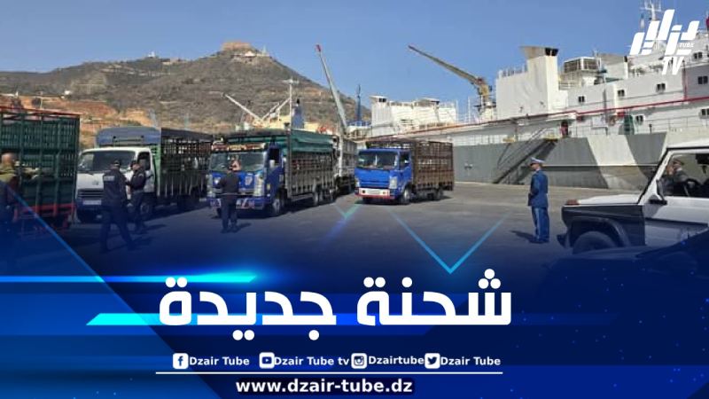 وصول باخرة من إسبانيا إلى ميناء وهران تحمل 13 ألف رأس غنم
