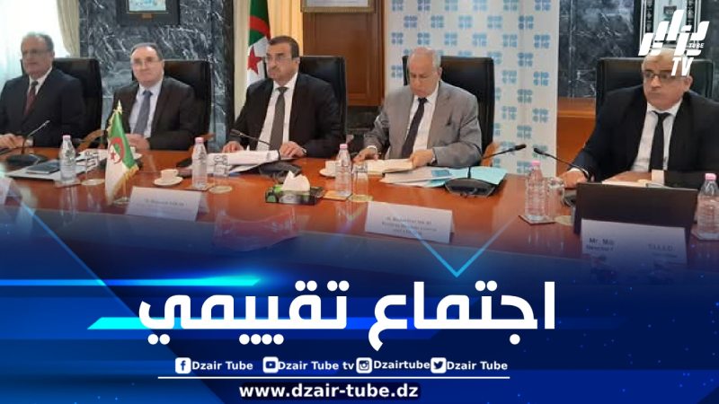 عرقاب يشارك في أشغال اجتماع لجنة المراقبة الوزارية المشتركة لأوبك