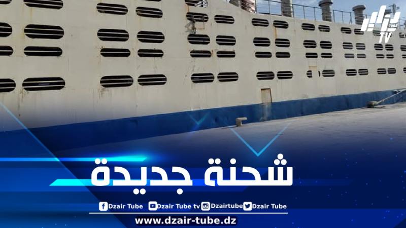 وصول باخرة من رومانيا محملة بـ 14 ألف أضحية إلى ميناء سكيكدة