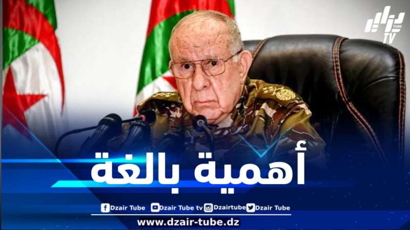 الفريق أول شنقريحة يبرز أهمية التحضير القتالي والتدريب المستمر للفرد العسكري